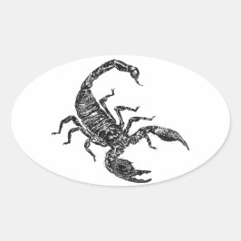 Sticker Ovale Scorpion