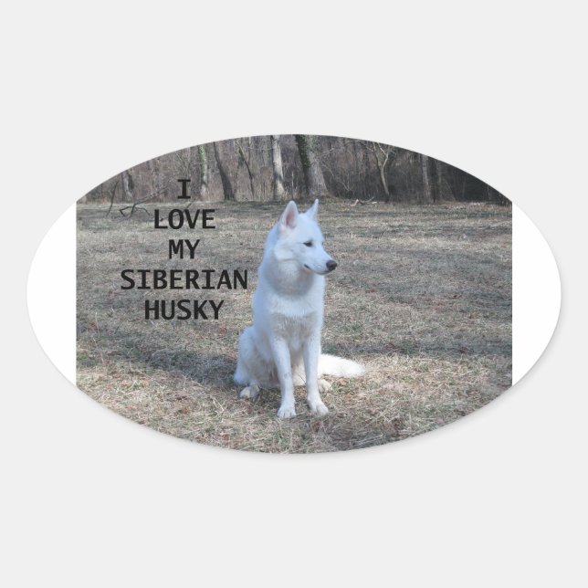 Sticker Ovale sibérien husk blanc amour avec pic (Devant)