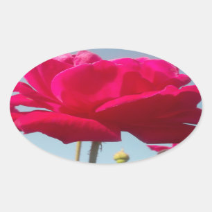 Sticker Ovale Soyez le mien heureux Valentine sous le ciel bleu