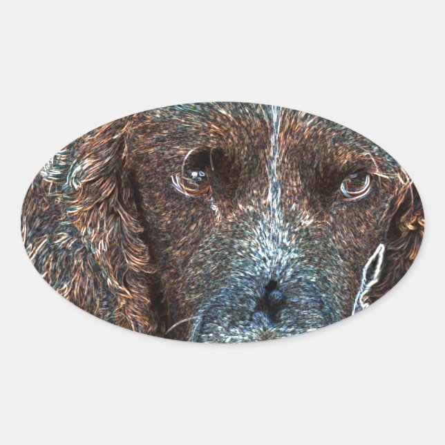 Sticker Ovale Springer anglais (Devant)