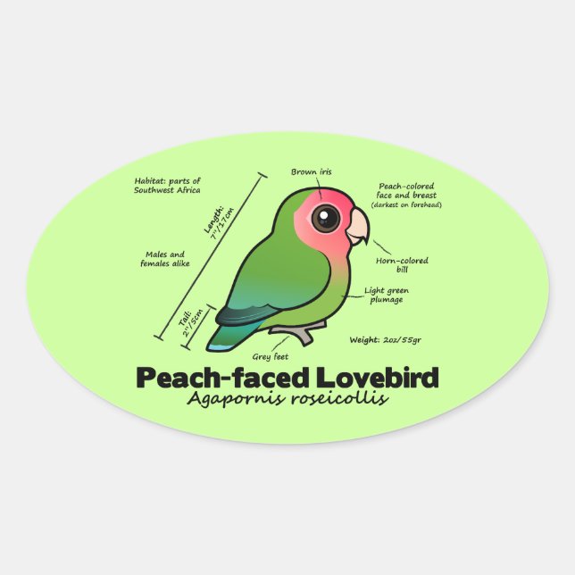 Sticker Ovale statistiques Pêche-faites face de perruche (Devant)