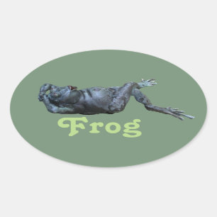 Sticker Ovale Statue de grenouille