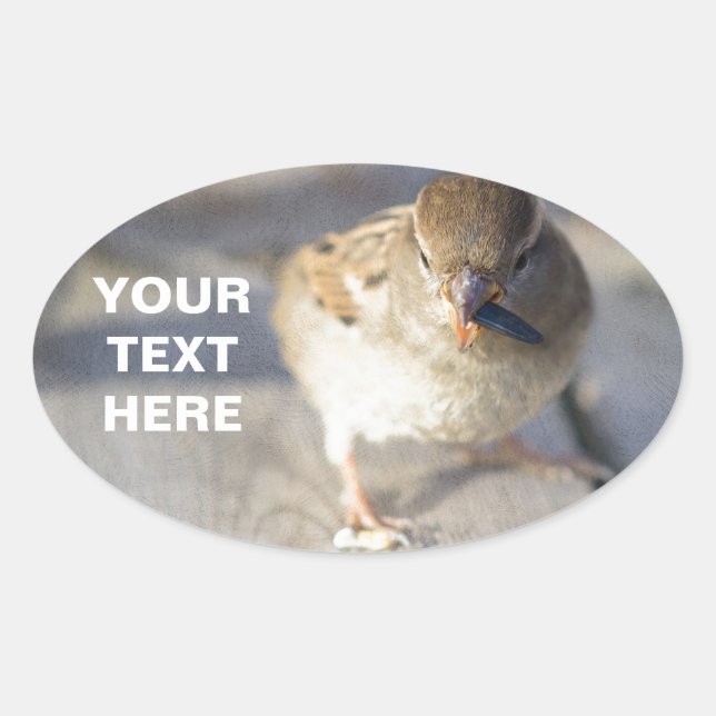 Sticker Ovale Survie De La Fittest (Devant)