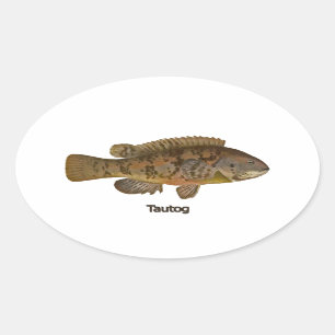 Sticker Ovale Tautog (poisson noir)