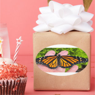 Sticker Ovale Tenir un papillon monarque