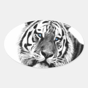 Sticker Ovale Tiger