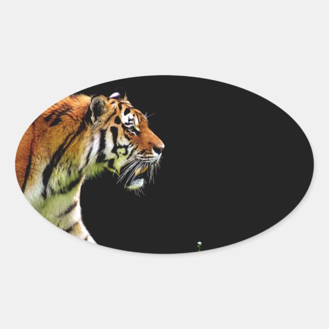 Sticker Ovale Tigre approchant - Oeuvres d'art d'animaux sauvage (Devant)