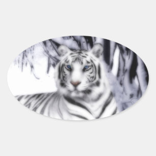 Sticker Ovale TigreBlanc