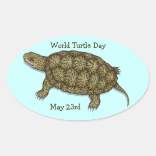 Sticker Ovale Tortue Pond Ouest