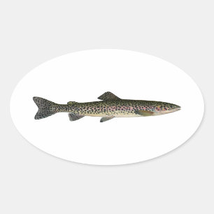 Sticker Ovale Truite à tête d'acier (Great Lakes)