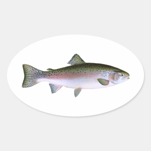 Sticker Ovale Truite arc-en-ciel (Devant)