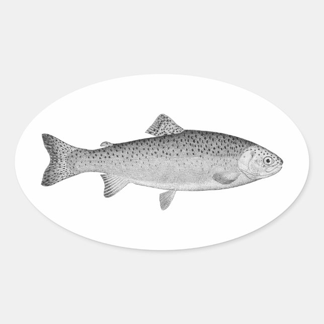 Sticker Ovale truite vintage (Devant)