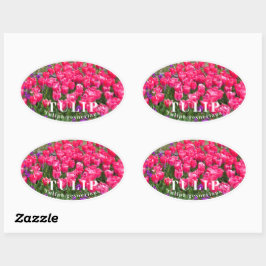 Sticker Ovale Tulip