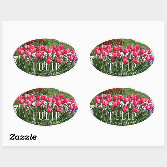 Sticker Ovale Tulip (Feuille)