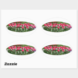 Sticker Ovale Tulip