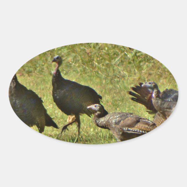 Sticker Ovale Turquie sauvage, couleurs du Camouflage (Devant)