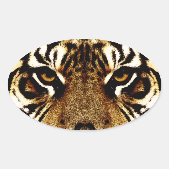 Sticker Ovale Yeux d'un tigre (Devant)