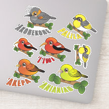Pack d'oiseaux forestiers d'Hawaii