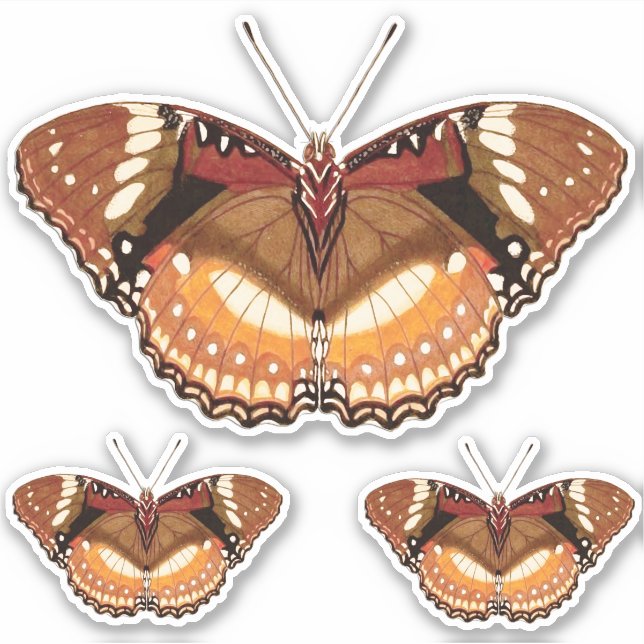 Sticker Papillon Monarque en Brown, rouille et crème (Devant)
