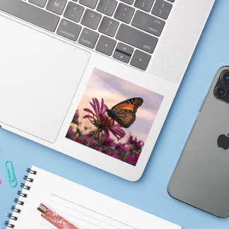 Sticker Papillon monarque sur une fleur