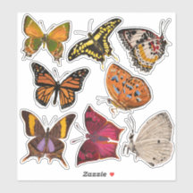 Papillons (feuille 2 Alphabet des papillons)