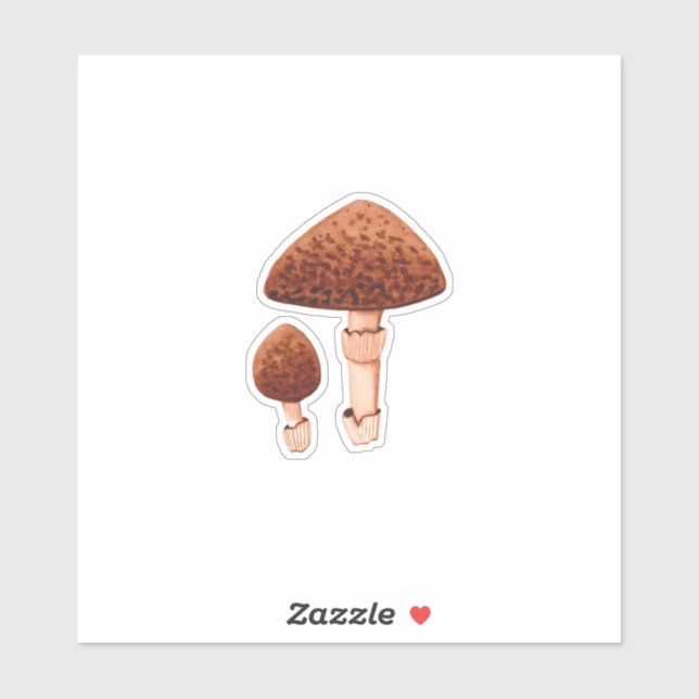 Sticker parasol shaggy (Chlorophyllum rhacodes) (Feuille)
