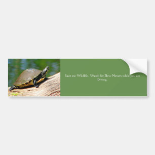 Sticker pare-chocs avec tortue à mouvement lent