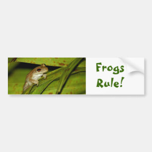 Sticker pare-chocs de règle de grenouilles