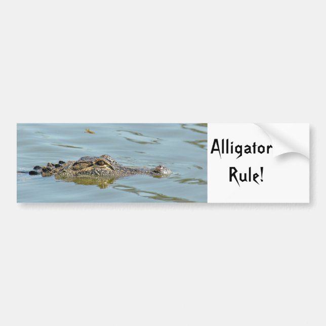 Sticker pare-chocs de règle des alligators (Devant)