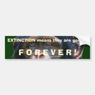 Sticker pare-chocs d'extinction CHIMPANZEE jour de