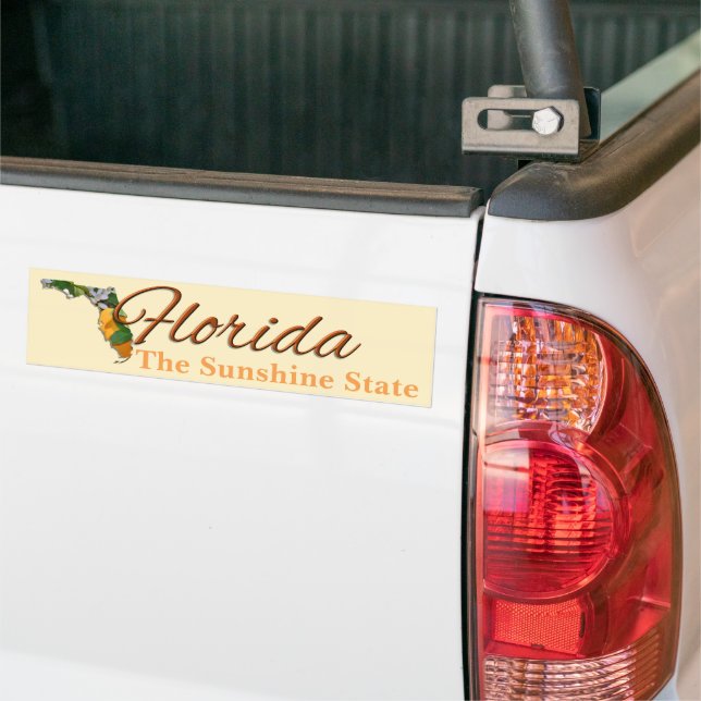 Sticker pare-chocs - FLORIDA (Sur camion)
