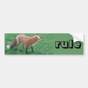 sticker pare-chocs Fox