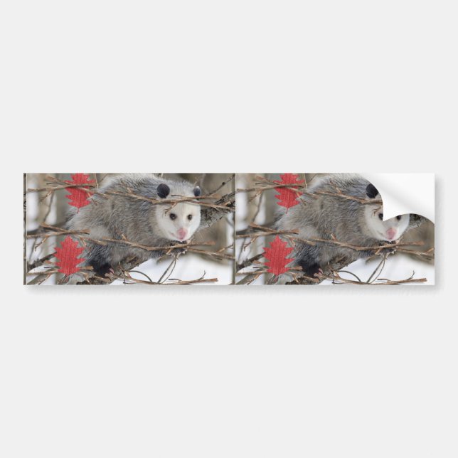 Sticker pare-chocs Opossum (Devant)