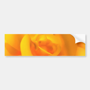Sticker pare-chocs Rose enroulé