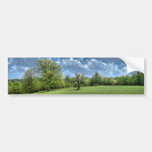 Sticker pare-chocs vert Appalachian