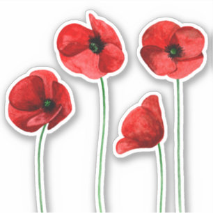 Sticker Pavot à l'aquarelle. Des fleurs rouges. Floral d'
