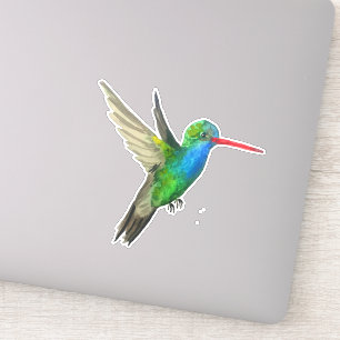 Sticker Peinture à l'aquarelle de colibri à bec large