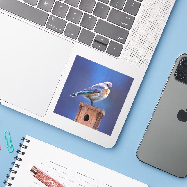 Sticker Peinture pour oiseaux bleus (femelle) - Art origin (Ordinateur portable avec iPhone)