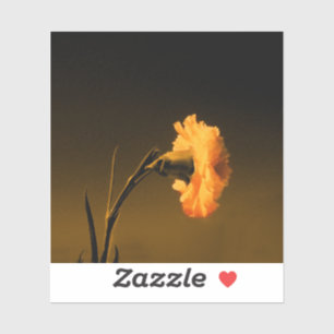 Sticker Peinture vintage de carnation