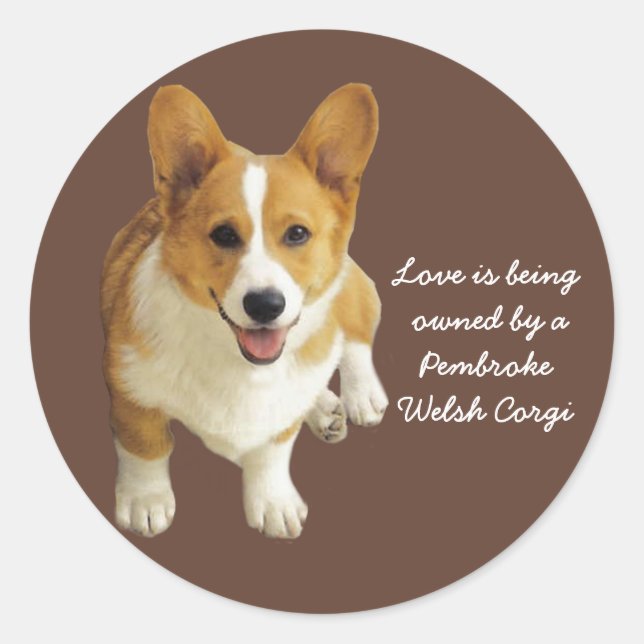 Sticker Pembroke Welsh Corgi (Devant)