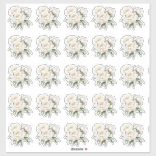 Sticker Peonies blanches