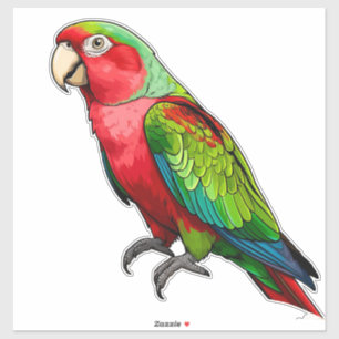 Sticker Perroquet arc-en-ciel vibrant