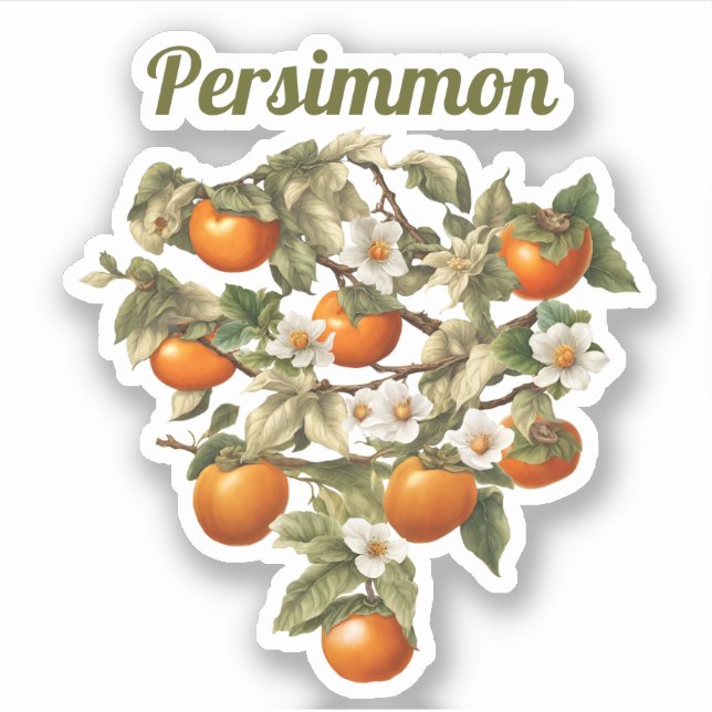 Sticker Persimmons (Devant)