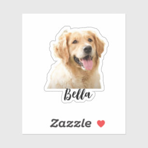 Sticker Personnalisez la photo de votre animal de compagni