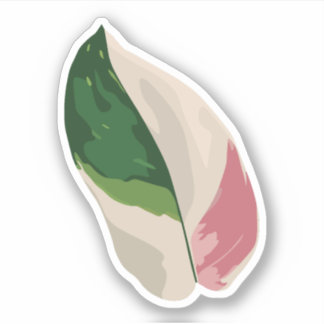 Sticker Philodendron Pink Princess