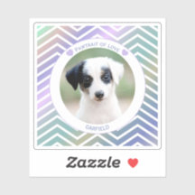 photo amateurs de chiens rayures modernes amour ch