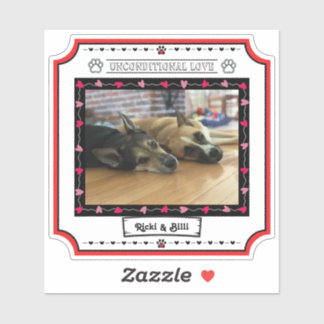 Sticker Photo de chien d'amour inconditionnel avec les coe
