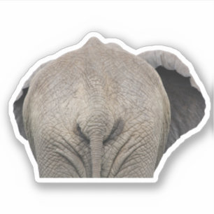 Sticker Photo de l'éléphant de queue