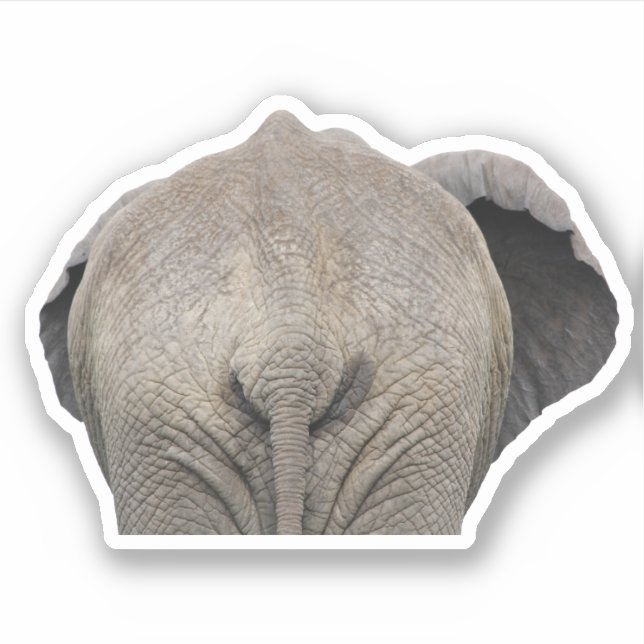 Sticker Photo de l'éléphant de queue (Devant)