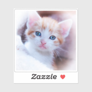 Sticker Photo en forme de Carré New Kitten